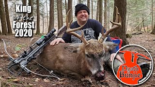 Bunjies CROSSBOW Buck from a Ground Blind [upl. by Fasta]