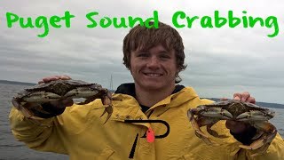 How To Crab in Washingtons Puget Sound [upl. by Ariat]