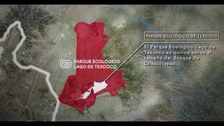 Conoce el proyecto Parque Ecológico Lago de Texcoco [upl. by Morena]