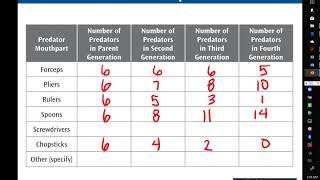 Lab 12 Natural Selection Summary [upl. by Ithnan]