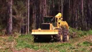 Tigercat 610E skidder [upl. by Ahseet366]