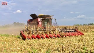 16 row Corn Combine Case IH 8240 AxialFlow [upl. by Donata]