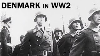 Denmark in World War 2  The Danish Resistance  Documentary Short  1944 [upl. by Aihtiekal]