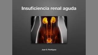 Insuficiencia renal aguda [upl. by Tterrab69]