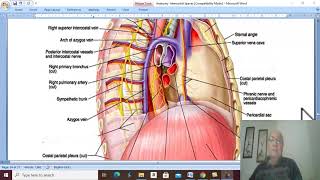 Respiratory Module 21  Azygos veins by Dr Wahdan [upl. by Linn]