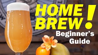 HOMEBREWING FOR BEGINNERS  How to Make Beer at Home 🏠🍺 [upl. by Scoville]