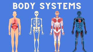 11 Body Systems in 3 minutes [upl. by Falzetta]