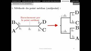 Bioinformatique  Chapitre 4  Phylogénie P1  Master Biotechnologie Alimentaire 2021 [upl. by Eceela]