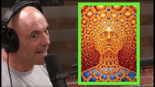 Joe Rogans DMT Experiences [upl. by Phelips]