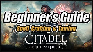 Citadel Reignited Beginners Guide Basics Spell Crafting amp Taming [upl. by Emmi816]