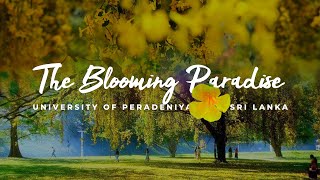 University Of Peradeniya Flower Season  The Blooming Paradise [upl. by Brag858]