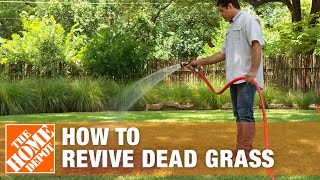 How to Grow Grass with Dead Grass Spots  The Home Depot [upl. by Jovitah97]