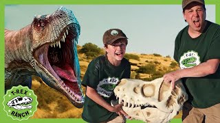 Dinosaur Adventure in the Desert  TRex Ranch 40 MINS of Kids Videos [upl. by Nonnahs]