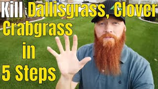 Kill Crabgrass Dallisgrass Clover in 5 Easy Steps Oxalis morning glory and Crabgrass Killer [upl. by Izaak]