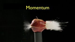 What Is Momentum [upl. by Eiliak]