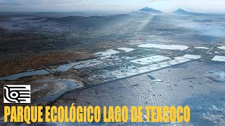 Así esta el PARQUE ECOLÓGICO LAGO DE TEXCOCO MX [upl. by Banks]