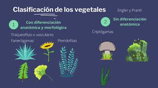 Sistemática y Taxonomía Vegetal [upl. by Siusan]