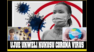 THE STORY BOOK Ukweli Muhimu Zaidi Kuhusu Corona [upl. by Iahs]