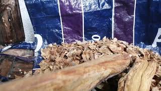 Needs a buyer of agarwood Philippines [upl. by Ferren]