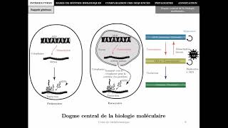 Bioinformatique  Chapitre 1  Introduction  Master Biotechnologie Alimentaire 2021 [upl. by Foss]