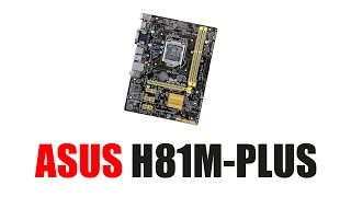 ASUS H81Mplus First look and Impressions [upl. by Rhu]