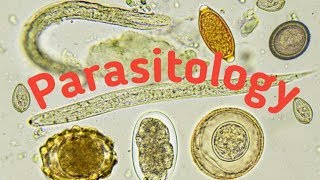 Introduction of Parasitology  Type of parasites and Host [upl. by Nimref701]