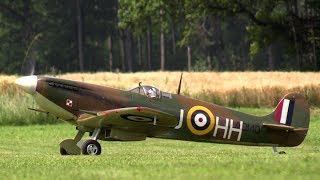 Rc Spitfire quotClipped Wingsquot cool sound [upl. by Eiahpets]