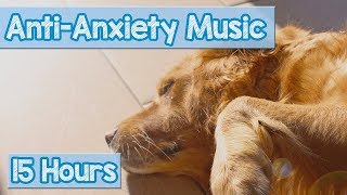 Calming Music for Puppies with Anxiety Soothing Lullabies for Anxious and Stressed Dogs Tested [upl. by Natelson853]