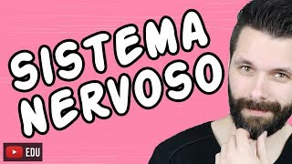 SISTEMA NERVOSO  FISIOLOGIA  Aula  Biologia com Samuel Cunha [upl. by Aloysia]