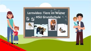 Lernvideo Tiere im Winter 🦔❄️ HSU Grundschule [upl. by Glinys193]