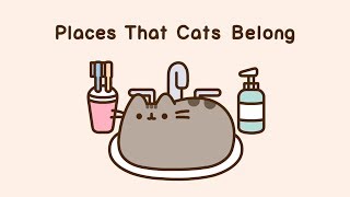 Pusheen Places That Cats Belong [upl. by Blondie711]