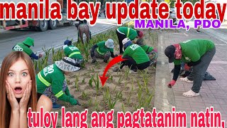 manila bay update today April 15 2024 [upl. by Dachia]