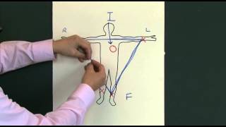 12 Lead EKG ECG [upl. by Tnert248]