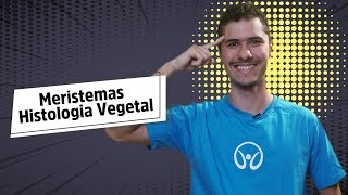 Meristemas  Histologia Vegetal  Brasil Escola [upl. by Teri]