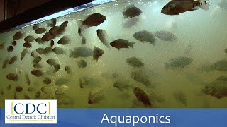 Aquaponics Tour [upl. by Welker]