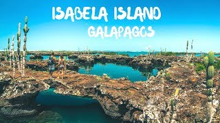 Visiting Isabela Island Galapagos Islands Ecuador [upl. by Erica]