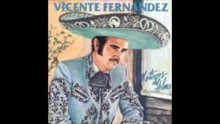 AUNQUE ME DUELA EL ALMA  VICENTE FERNANDEZ FULL AUDIO [upl. by Wixted934]