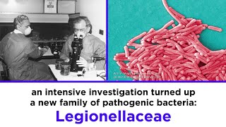 Legionnaires’ Disease Legionella pneumophila [upl. by Rieth468]