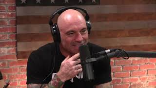 Joe Rogan on Catholic Priest Scandals [upl. by Hanonew]