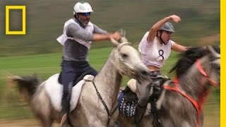 Grueling 80Mile Horse Race Demands More Than Speed  National Geographic [upl. by Aened894]