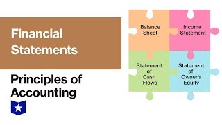 Financial Statements  Principles of Accounting [upl. by Rollet513]