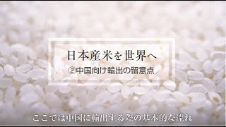 「日本産米を世界へ」②中国向け輸出の留意点 [upl. by Eedoj]