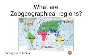 What are zoogeographical regions  How to draw zoogeographical regions map [upl. by Rheta]