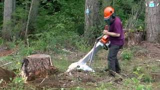 Alpine Magnum Portable Stump Grinder [upl. by Donelle]