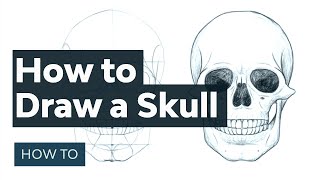 How to Draw a Skull [upl. by Gibe735]