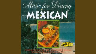 Mexican Dinner Music [upl. by Britteny]