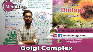 Golgi Complex  Structure and function  Federal Board Biology XI [upl. by Ades]