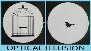 Bird and Cage Thaumatrope  Optical Illusion [upl. by Max]