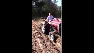 Massey Ferguson 240 Plowing [upl. by Weissberg]