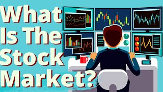 WHAT IS THE STOCK MARKET  The Stock Market Explained [upl. by Eelame]